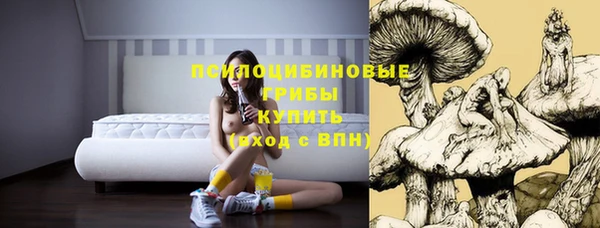 мяу мяу мука Алексин